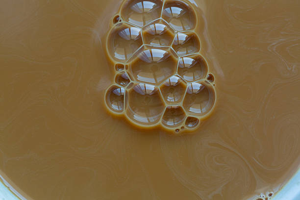 Texture, background, backdrop, hot coffee and bubbles macro,Coffee milk foam. Background texture of cappuccino, closeup. Macro.
