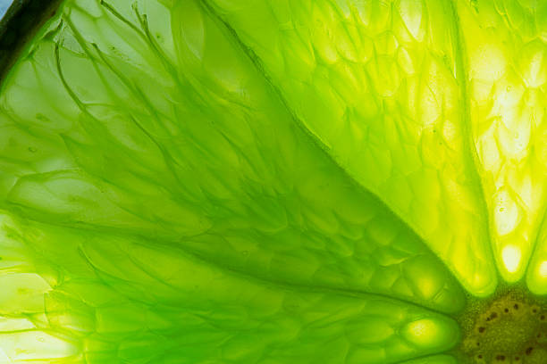 istock Texture, Background, Backdrop, Macro Lemon Texture,Close-up macro of lemon texture,macro lemon texture,Macro close up surface texture Juicy slice of lime 2211775567