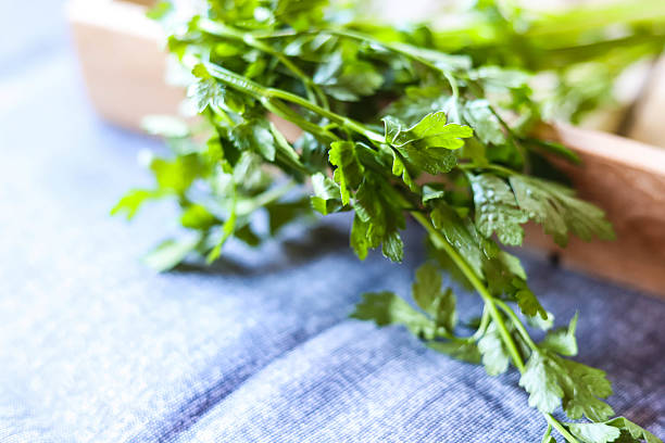 Close-up shot highlighting natural texture and vibrant green color. Perfect for healthy food, recipes, and organic farming concepts.