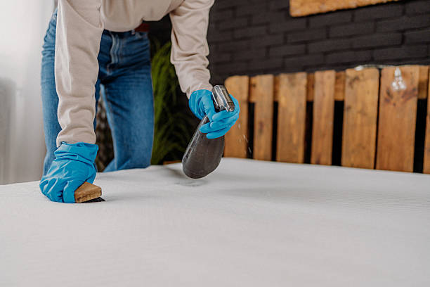 istock Cleaning the mattress  stain 2211780728