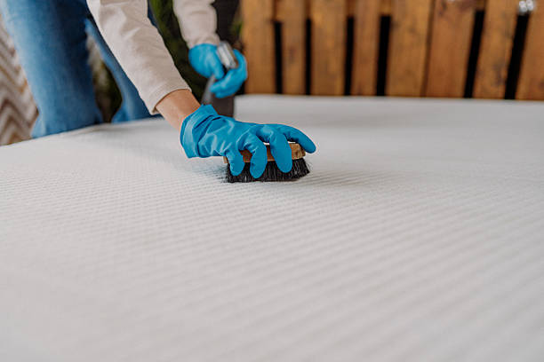 istock Cleaning the mattress  stain 2211780786