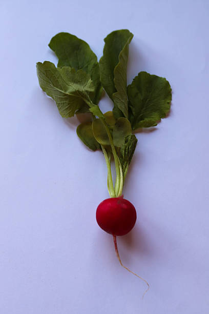 istock Fresh radishes with green leaves 2211781193