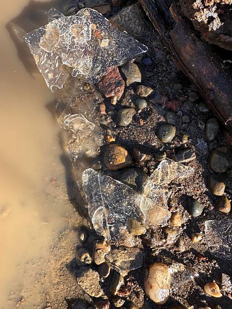 istock Ice Fragmentation on Wet Rocky Terrain 2211783766