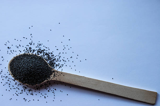 Fragrant black poppy seeds in a wooden spoon on pure white background. Minimalist composition with natural lighting highlights seeds' texture and rich color.