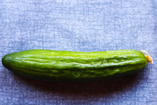 Crispy cucumber macro shot Organic cucumber with blossom. High quality photo