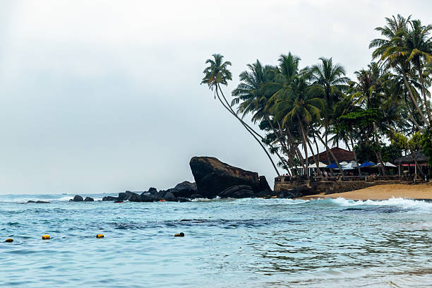 istock Tropical island with palm trees 2211793976