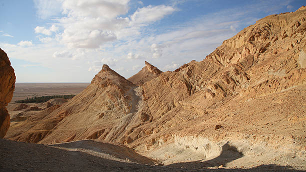 istock Oasis of Chebika 2211794831