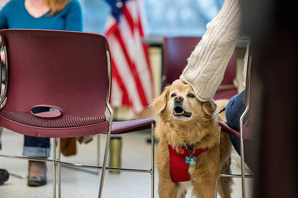 istock Therapy Dog Providing Emotional Support in Group Session 2211795806