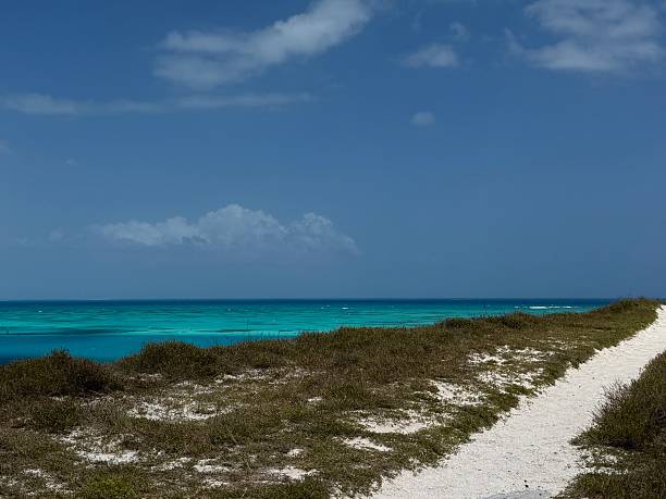istock Sandy trail with vegetation and turquoise ocean scene, blue sky background 2211798489