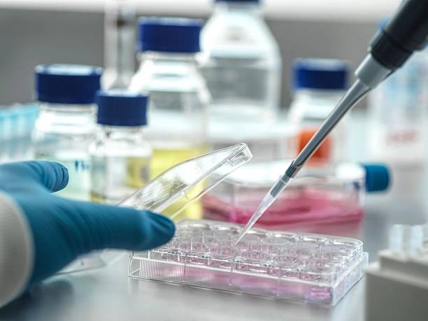 istock A scientist utilizes a pipette to dispense liquid into a multi-well plate for scientific research. 2211803767