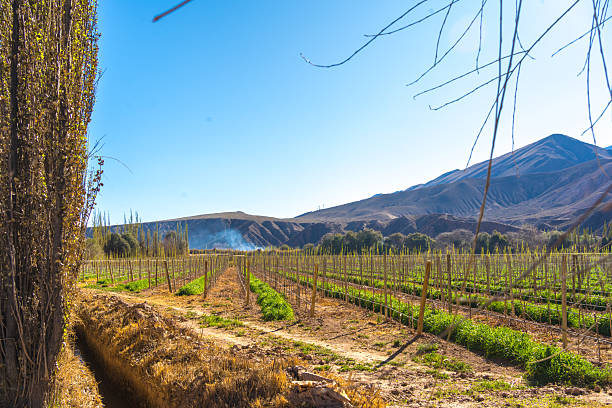 View of Mountains of Valle del Elqui, with lots of Apacheta or stone piles in a sunny day, Chile