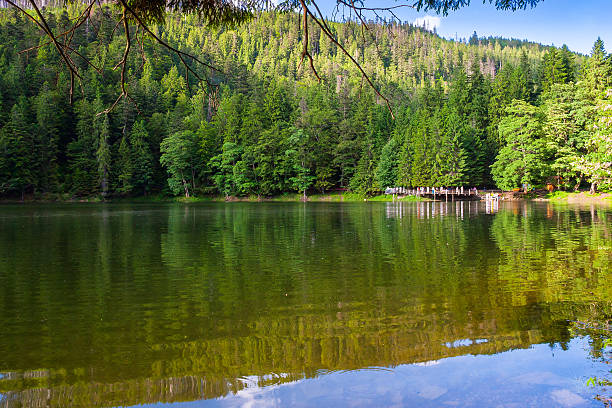istock landscape with lake and coniferous forest 2211813253