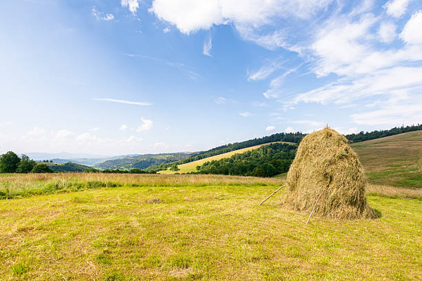 Landscape of a valley among mountain ranges.