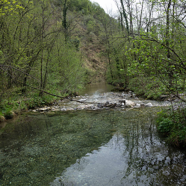 istock Val Vertova, Bergamo, Lombardia, italia 2211820551