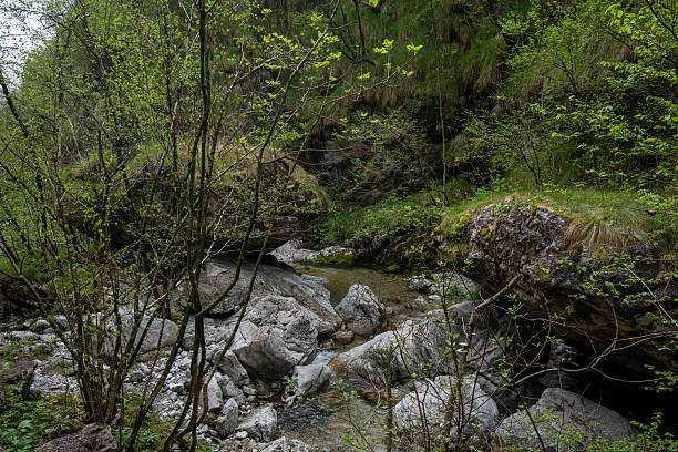 Val Vertova, Bergamo, Lombardia, italia
