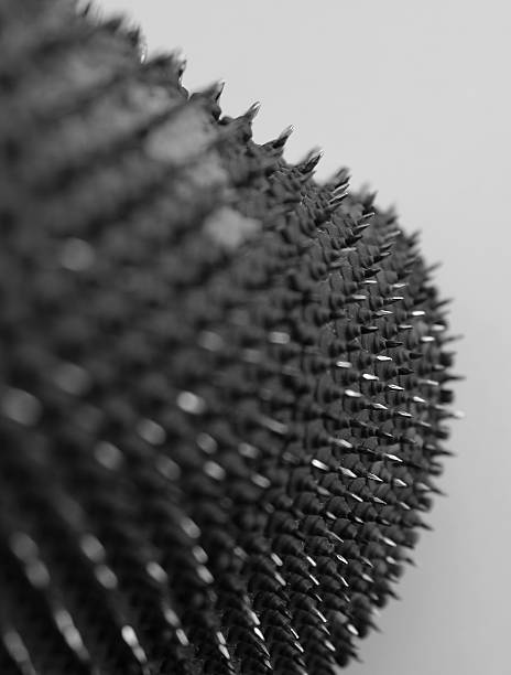 Closeup Image Of Rubber Material Punctured by Small Nails
