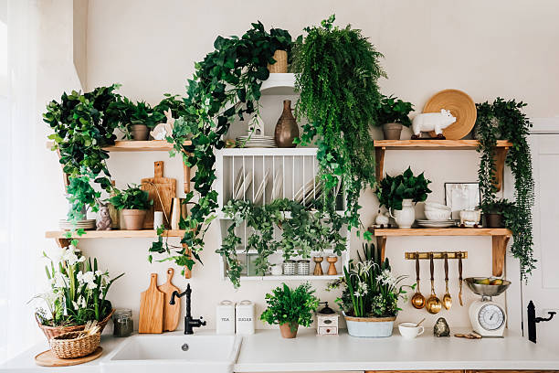 istock Lush greenery adorns modern kitchen shelves creating a vibrant and inviting cooking space 2211827456
