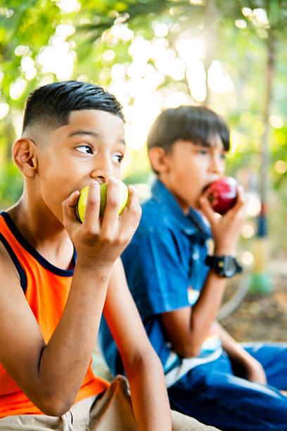 istock Two elementary age brothers eating apples in the park 2211829764