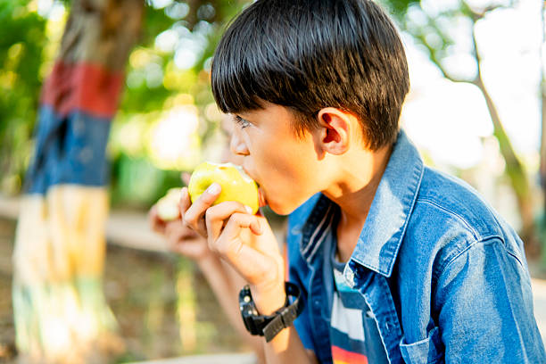istock Elementary school student enjoying a green apple in the park with friend 2211829903