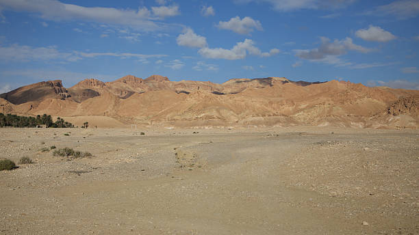 istock Lake Chott el Djerid 2211831325