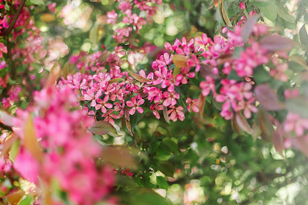 natural background. Perfect for spring or nature themes.