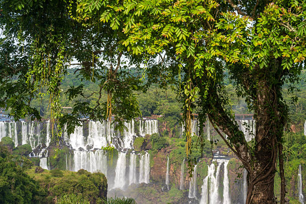 Scenic waterfalls at Iguazu Falls, Brazil