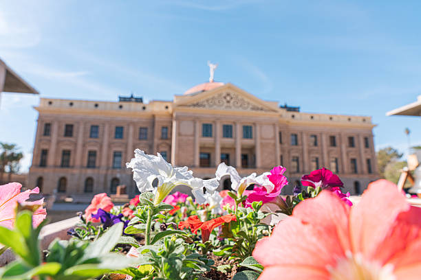Vibrant Colored Petunia Flowers at the Phoenix State Capitol Building
