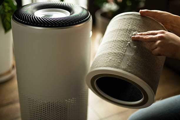 istock Female hands is holding dirty used filter from home air purifier. 2211844020