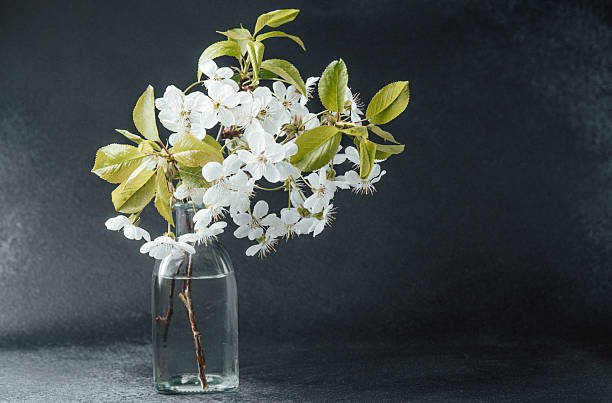 istock Delicate cherry blossoms arranged in a vintage glass bottle 2211844232