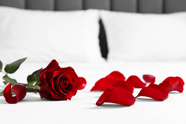 istock Honeymoon. Red rose and petals on bed, closeup 2211845372
