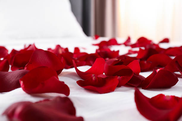 istock Honeymoon. Beautiful rose petals on bed, closeup 2211845383