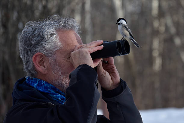 istock Funny bird sitting on the binoculars of a bird watcher. 2211849436
