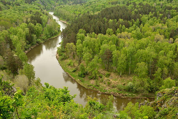 istock A wide river flows calmly through a dense coniferous forest, bending its bed on a cloudy summer day, view from the top of the mountain. 2211856702