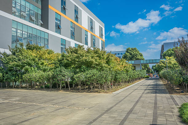 istock Modern Urban Pathway Surrounded by Lush Greenery Beneath a Clear Blue Sky 2211869254