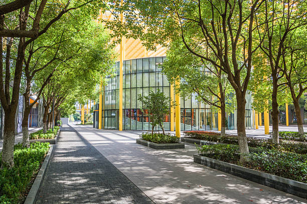 istock A Harmonious Blend of Modern Architecture and Lush Greenery in an Urban Setting 2211869263