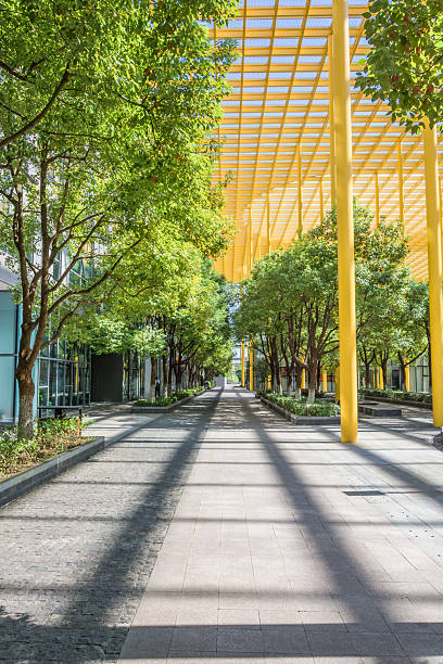 istock Captivating Urban Walkway Framed by Lush Greenery and Vibrant Yellow Structure 2211869265
