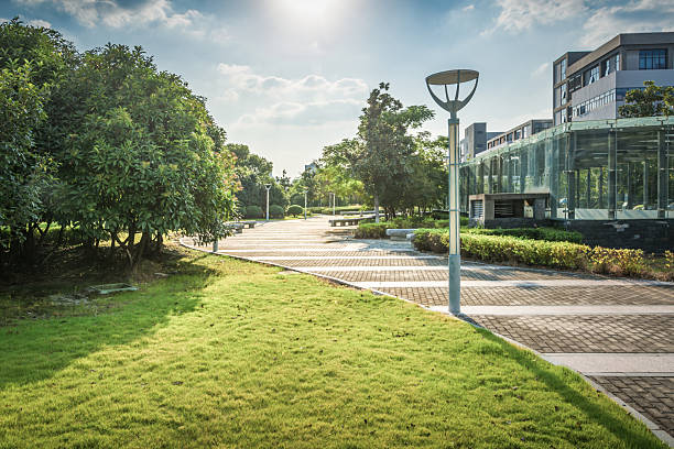 istock Tranquil Urban Pathway Surrounded by Lush Greenery and Modern Architecture 2211869312