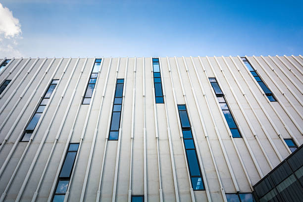 Contemporary Architectural Design: A Striking Facade with Vertical Lines and Glass Windows