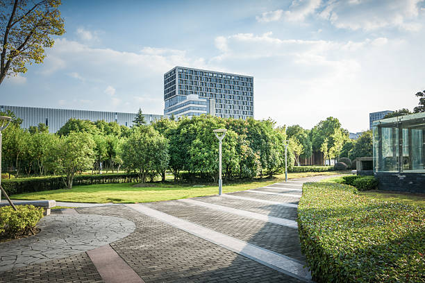 Harmonious Blend of Nature and Modern Architecture in Urban Park Setting