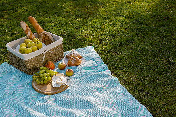 Scenic picnic with apples, grapes, croissants, cheese, and baguettes on a blue blanket in a sunny park.