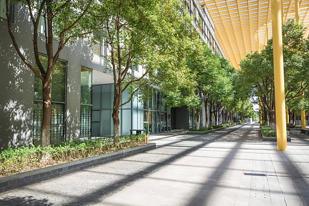 istock Serene Urban Pathway Surrounded by Lush Greenery and Modern Architecture 2211875320