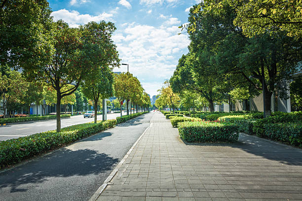 istock Lush Urban Pathway: A Scenic Walk Through Vibrant Greenery and Open Skies 2211875322