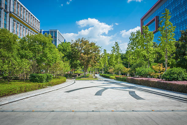 istock Tranquil Urban Park Experience Amidst Lush Greenery and Blue Skies 2211875350