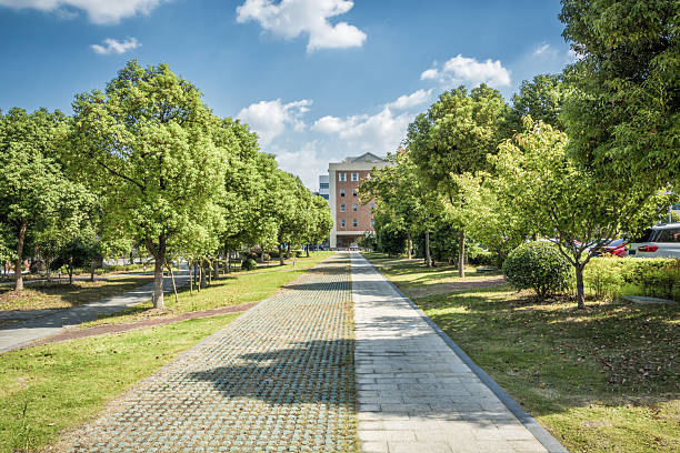 istock A Tranquil Pathway Surrounded by Lush Greenery on a Sunny Day 2211875354