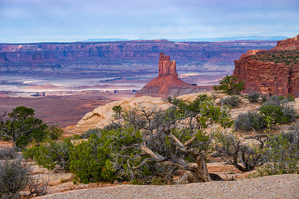 istock Canyonlands National Park desert landscape 2211877295