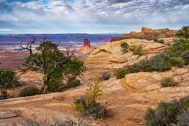 istock Canyonlands National Park desert landscape 2211877316