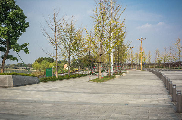 istock Tranquil Pathway Through a Lush Urban Park on a Sunny Day 2211880577