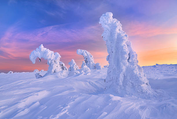 istock Beautiful winter landscape with trees covered with snow 2211881623