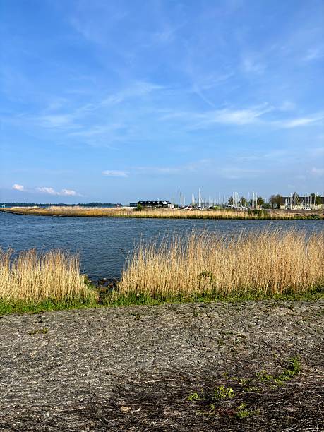 istock Seaview Ijsselmeer, Netherlands 2211883093
