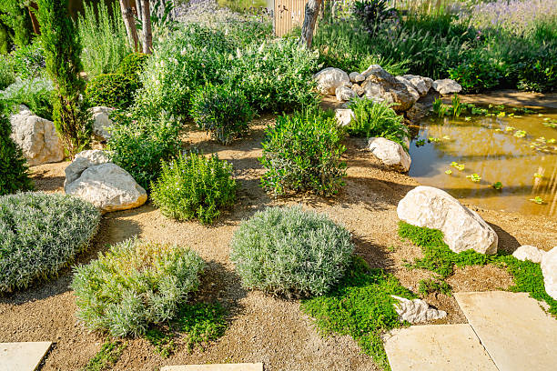istock Backyard or patio with fantastic landscaping with drought resistant plants 2211883313